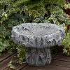 Small Ivy Birdbath 4-100