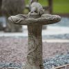 Ivy Squirel Birdbath