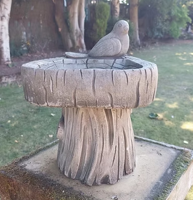 Bird on a Log Birdbath