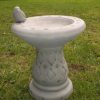 Small Wren Birdbath