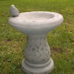 Small Wren Birdbath