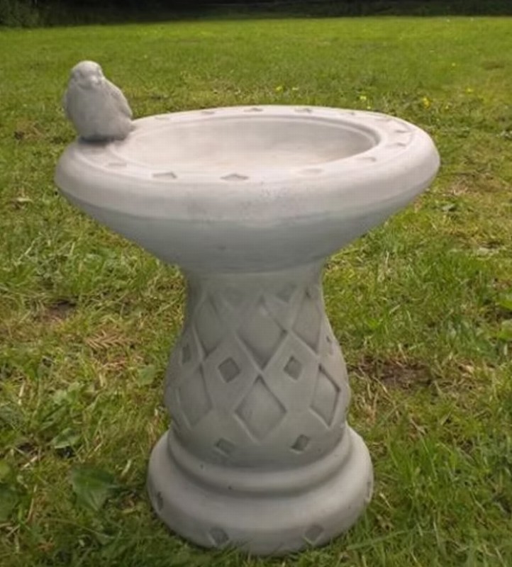 Small Wren Birdbath