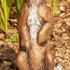 Small Long Haired Meerkat