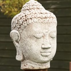 BUDDHA HEAD