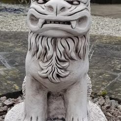 Medium Foo Dog