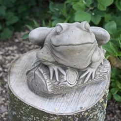 Frog on Log