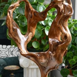 Natural root sculpture