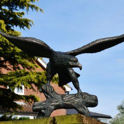 Eagle on wood