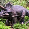 Dinosaur Triceratops