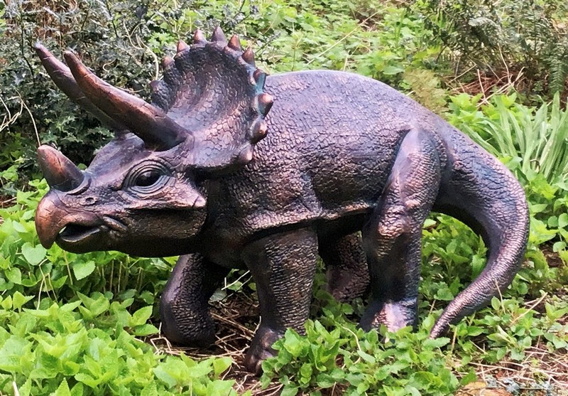 Dinosaur Triceratops