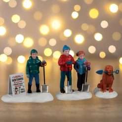 Neighborhood snow shovelers