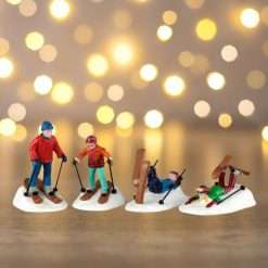 Ski school lessons