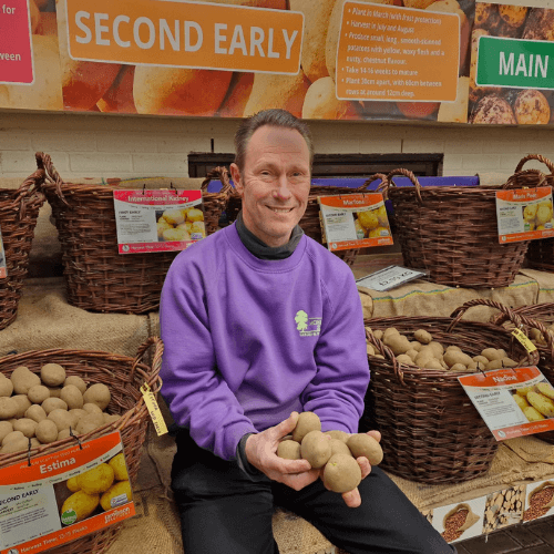 our local potato expert