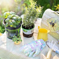 Garden Sundries