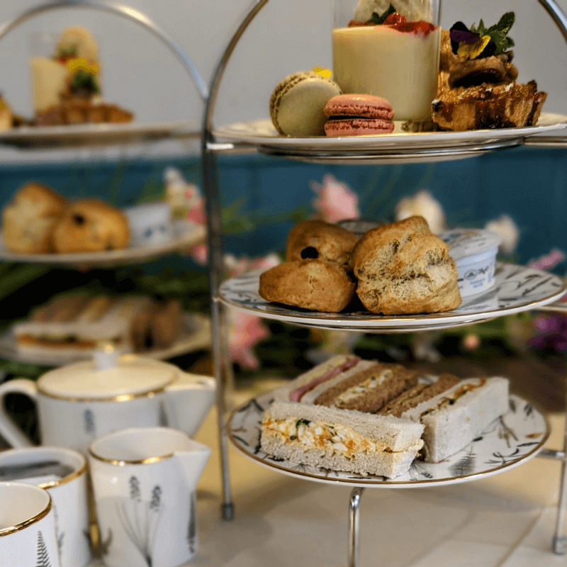 an image of our tasty afternoon tea, with teacups and cakes
