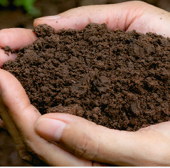 Compost and Growing Media
