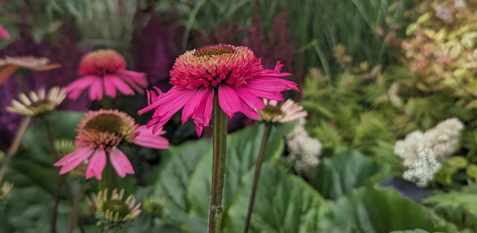 Monkton Elm Garden Centre | Taunton | Somerset